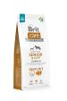 Obrázok pre BRIT Care Senior&Light Salmon - suché krmivo pro psy - 12 kg