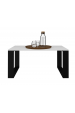 Obrázok pre Topeshop MODERN BIEL CZ konferenční/odkládací stolek Konferenční stolek Obdélníkový tvar 2 noha/nohy
