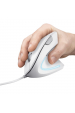 Obrázok pre Trust Verto myš Pro praváky USB Typ-A Optický 1600 DPI