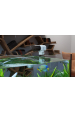 Obrázok pre Krmítko pro ryby TESLA TSL-PC-059DW Smart Fish Feeder