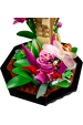Obrázok pre LEGO IDEAS 21342 Sbírka hmyzu