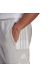 Obrázok pre Pánské kalhoty Adidas pants světle šedá GT6644