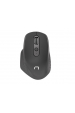 Obrázok pre NATEC Wireless Mouse Euphonie 2400DPI black