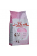 Obrázok pre Royal Canin FHN Kitten - suché krmivo pro koťata - 4kg