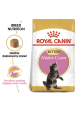 Obrázok pre ROYAL CANIN Maine Coon Kitten - suché krmivo pro kočky - 4 kg