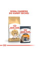 Obrázok pre ROYAL CANIN Siamese Adult - suché krmivo pro kočky - 2 kg