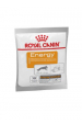 Obrázok pre Royal Canin NUTRITIONAL SUPPLEMENT ENERGY - mokré krmivo pro psy - 50 g