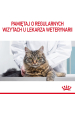 Obrázok pre Royal Canin Hair & Skin Care Dospělý jedinec suché krmivo pro kočky 2 kg