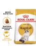 Obrázok pre Royal Canin FBN Ragdoll Adult suché krmivo pro kočky 2 kg
