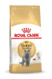 Obrázok pre Royal Canin British Shorthair Adult suché krmivo pro kočky 4 kg Dospělý jedinec