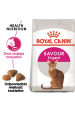 Obrázok pre ROYAL CANIN Savour Exigent Adult - suché krmivo pro kočky - 400g