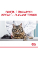 Obrázok pre ROYAL CANIN Hairball Care Adult - suché krmivo pro kočky - 400g