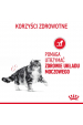 Obrázok pre ROYAL CANIN Urinary care Adult - suché krmivo pro kočky - 400g