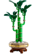 Obrázok pre LEGO ICONS 10344 The Botanical Collection - Šťastný bambus