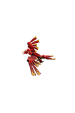 Obrázok pre LEGO CREATOR 3 V 1 31161 Středověký drak