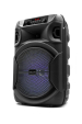 Obrázok pre SQUEAK KARAOKE SPEAKER PULSETOWER BT 5.3 + EDR SQ1006