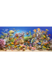 Obrázok pre Castorland Underwater life 4000 pcs Puzzle 4000 kusů Podvodní