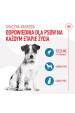 Obrázok pre ROYAL CANIN Training Treats - pamlsek pro psa - 110g