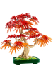 Obrázok pre LEGO BOTANICALS 10348 Bonsajový strom japonský červený javor