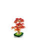 Obrázok pre LEGO BOTANICALS 10348 Bonsajový strom japonský červený javor