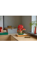 Obrázok pre LEGO BOTANICALS 10348 Bonsajový strom japonský červený javor