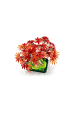 Obrázok pre LEGO BOTANICALS 10348 Bonsajový strom japonský červený javor