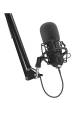 Obrázok pre GENESIS Radium 400 G2 Černá Studiový mikrofon