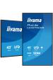 Obrázok pre iiyama LH4375UHS-B2AG sdělovací displej Plochá digitální tabule 108 cm (42.5") LCD Wi-Fi 500 cd/m² 4K Ultra HD Černá Zabudovaný procesor Android 11 24/7