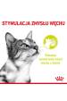 Obrázok pre ROYAL CANIN Sensory Smell - mokré krmivo pro kočky - 12x85g