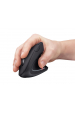 Obrázok pre Trust Verto myš Pro praváky RF bezdrátový Optický 1600 DPI