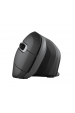 Obrázok pre Trust Verro myš Pro praváky RF bezdrátový Optický 1600 DPI