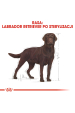 Obrázok pre ROYAL CANIN Labrador Retriever Sterilised Adult - suché krmivo pro psy - 12kg