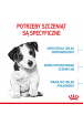 Obrázok pre Royal Canin SHN Mini Puppy -  suché krmivo pro štěňata - 4kg