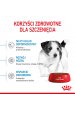 Obrázok pre Royal Canin SHN Mini Puppy -  suché krmivo pro štěňata - 4kg