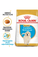 Obrázok pre ROYAL CANIN Golden Retriever Puppy - suché krmivo pro psy - 3 kg