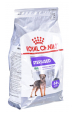 Obrázok pre Royal Canin CCN MINI STERILISED - suché krmivo pro dospělé psy - 3kg