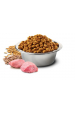 Obrázok pre Farmina Pet Food N&D Ancestral Grain Canine 15 kg Dospělý jedinec Kuřecí maso