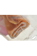 Obrázok pre MACED Pork skin - žvýkačka pro psy - 24 cm