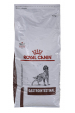 Obrázok pre ROYAL CANIN Gastrointestinal - suché krmivo pro psy - 15 kg