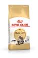 Obrázok pre Royal Canin FBN Maine Coon Adult -  suché krmivo pro dospělé kočky - 4kg