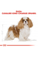 Obrázok pre Krmivo Royal Canin SHN Breed Cavalier K C 1,5 kg