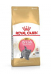 Obrázok pre ROYAL CANIN British Shorthair Kitten - suché krmivo pro kočky - 400g