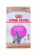 Obrázok pre ROYAL CANIN British Shorthair Kitten - suché krmivo pro kočky - 400g