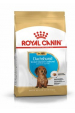 Obrázok pre Krmiva Royal Canin SHN Breed Dachshund Jun 1,5 kg