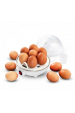 Obrázok pre Esperanza EKE001 vařič vajec 7 vajec 350 W Bílá