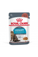 Obrázok pre ROYAL CANIN Urinary Care in Gravy 12x85g