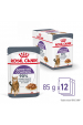 Obrázok pre ROYAL CANIN Appetit Control kousky v omáčce - mokré krmivo pro kočky - 12 x 85g