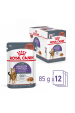 Obrázok pre ROYAL CANIN Appetit Control kousky v omáčce - mokré krmivo pro kočky - 12 x 85g