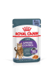 Obrázok pre ROYAL CANIN FCN Appetite Control jelly - vlhké krmivo pro dospělé kočky - 12x85g