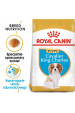 Obrázok pre Royal Canin BHN Cavalier King Charles Spaniel Puppy - suché krmivo pro štěňata - 1,5kg